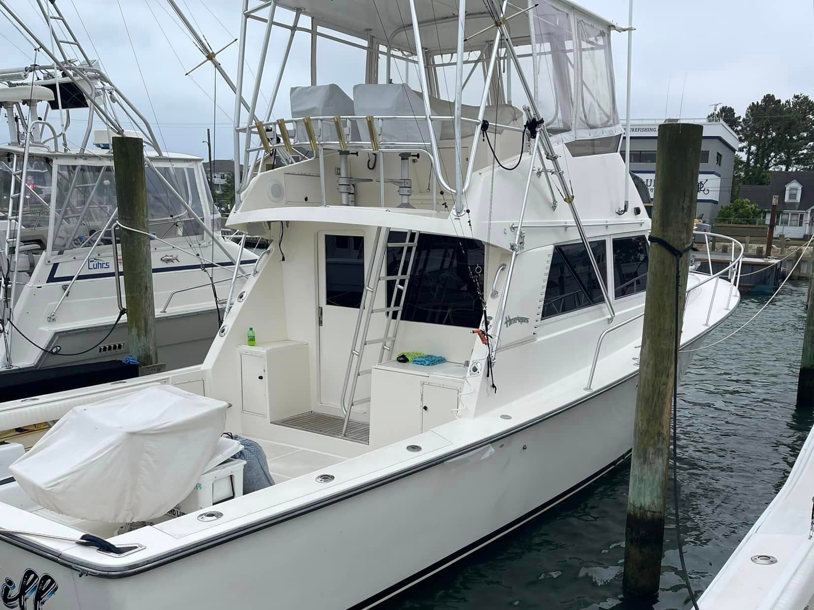 Boat Fully Tinted, Marine Tint Service